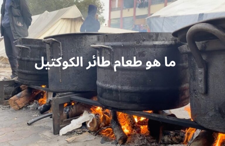 ما هو طعام طائر الكوكتيل