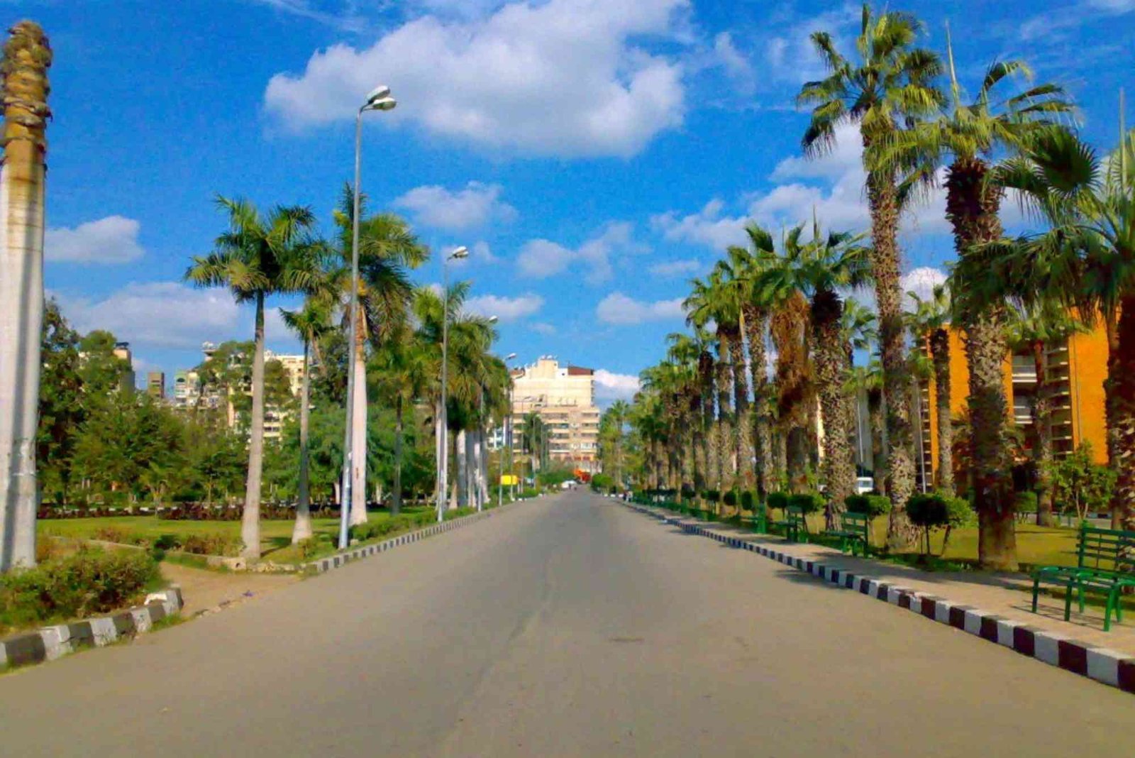 شركات السياحة بالمنصورة