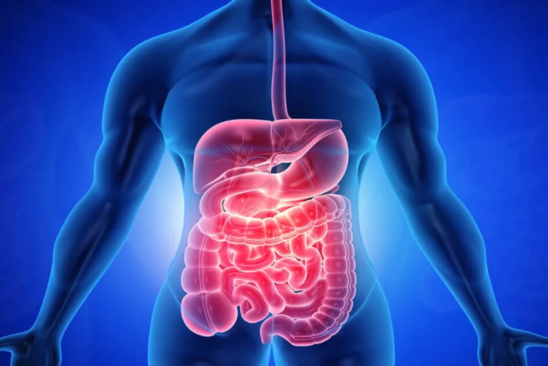 تخصص الجهاز الهضمي